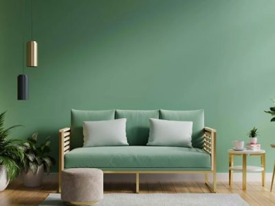 Expensive-houseplants